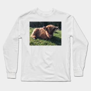 Scottish Highland Cattle Calf 1512 Long Sleeve T-Shirt